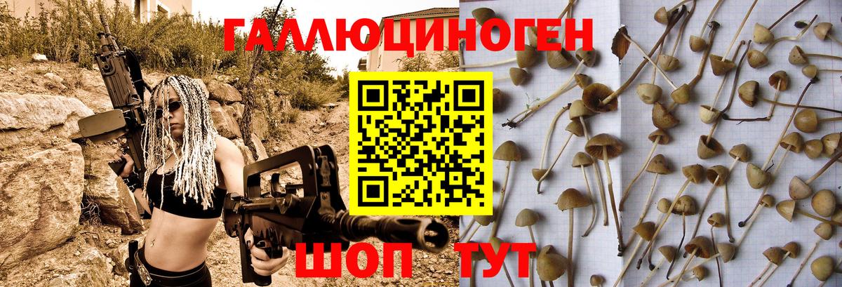 Галлюциногенные грибы MAGIC MUSHROOMS  наркотики  Избербаш  Вход с VPN 